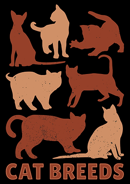 cat breeds
