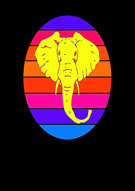 Elephant animal sun