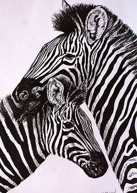 Zebra and her younster