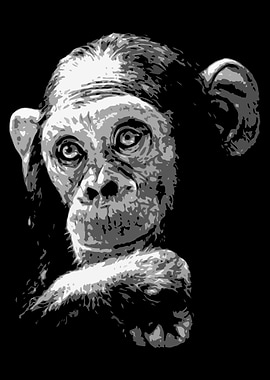 monkey black and white v19