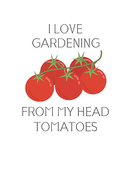 Gardening tomatoes