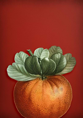 Bigarade Orange on Red