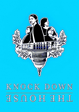 Knock Down The House