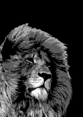 tiger black and white v36