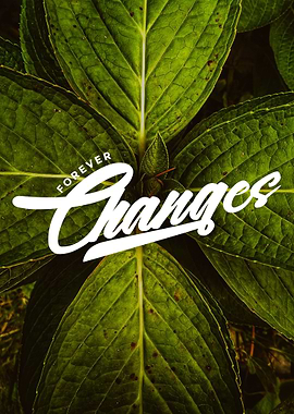 Forever Changes