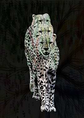 Leopard black white v37