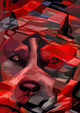 Staffordshire Bloody