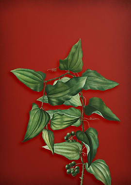 Vintage Botanical on Red