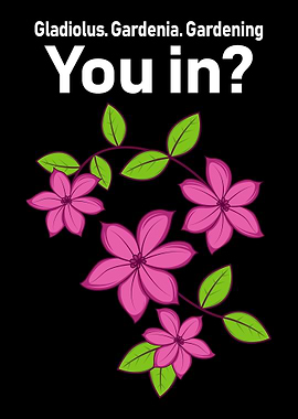 Gladiolus Gardenia Garde