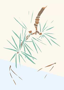 Pine tree branch