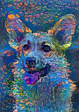 Corgi spring doggy style