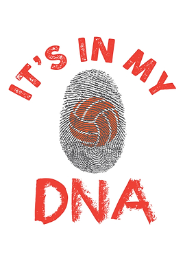 Volleyball is in my DNA