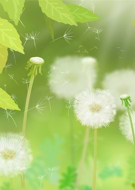 Dandelion flowers leaves