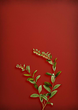 Vintage Botanical on Red