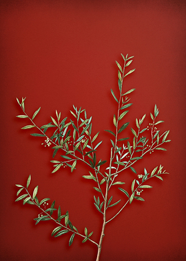 Vintage Botanical on Red