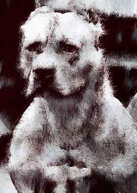 American Pit Bull Terrier