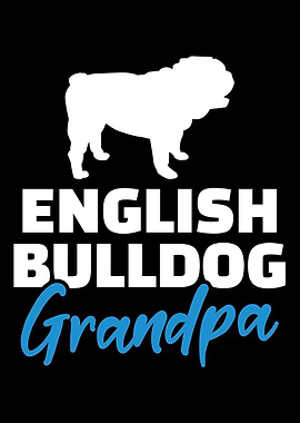 English Bulldog