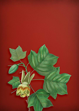 Vintage Branch on Red