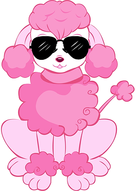 Cool Poodle