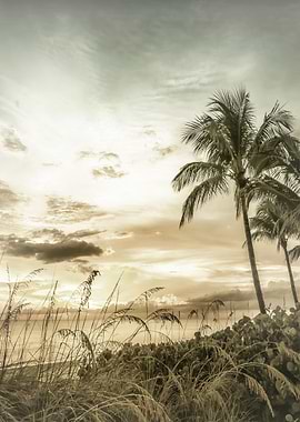 Vintage Bonita Beach