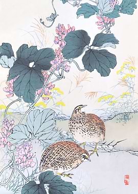 Quails And Kudzu Flowers