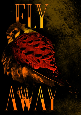 Inspiration Motivation