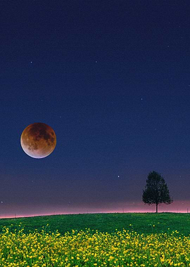 Artistic Fantasy Field Tre