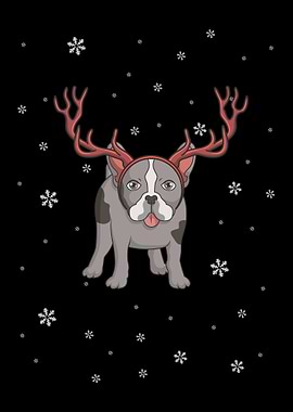 Funny Bulldogs with Antle