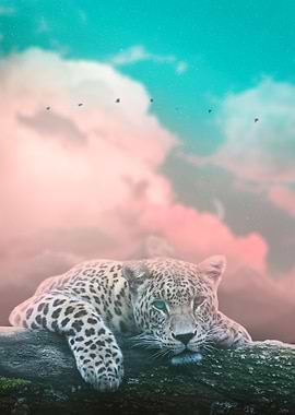 Resting Leopard