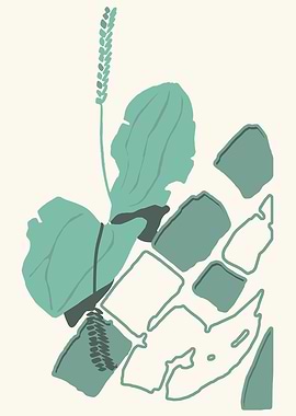 Plantain by the road