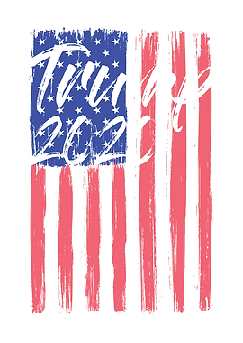 Trump Election Year 2020