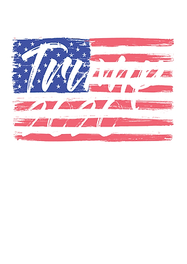 Trump Election Year 2020