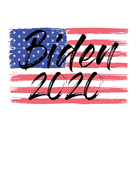 Biden Election Year 2020