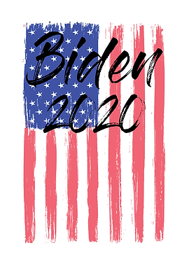 Biden Election Year 2020