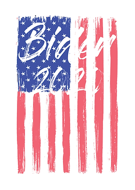 Biden Election Year 2020