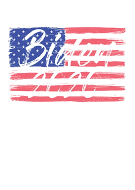 Biden Election Year 2020