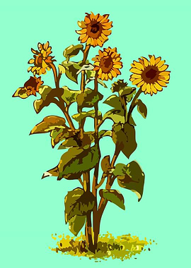 beautiful flower art