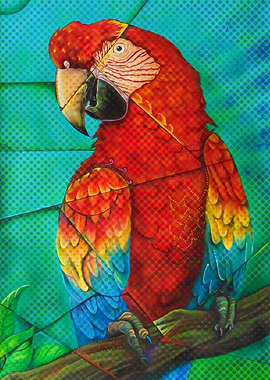 Red parrot