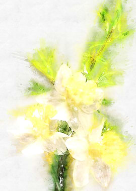 Polyvore graphy watercolor