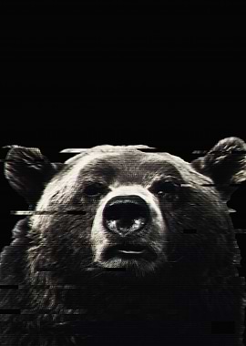Glitched Bear