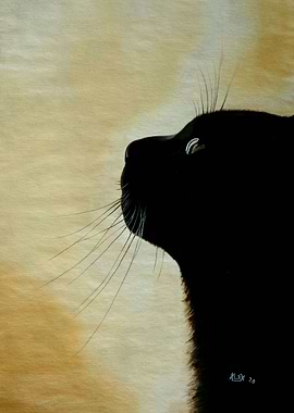 Think About You- Black Cat