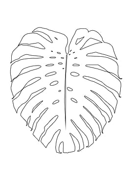 Monstera Finesse Line Art