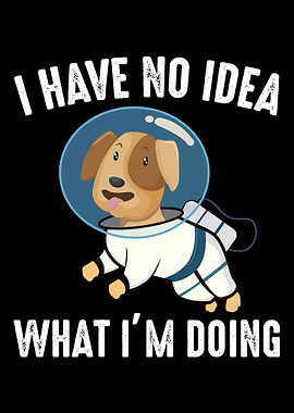 I Have No Idea What Im Do
