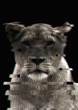 Glitched Lioness
