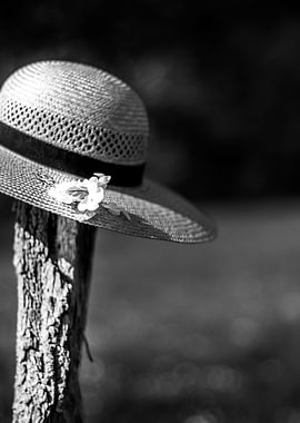 Hat on the pole by rb