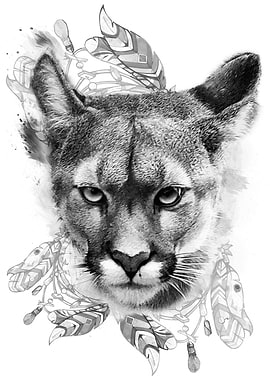 Puma and dreamcatcher