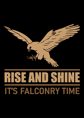 Falconry Falcon Bird Lover