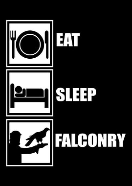 Falconry Falcon Bird Lover