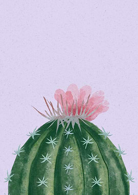 Cactus Poster