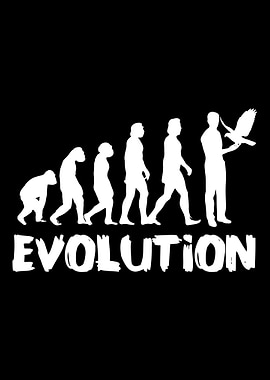 Falcons Falconry Bird Love